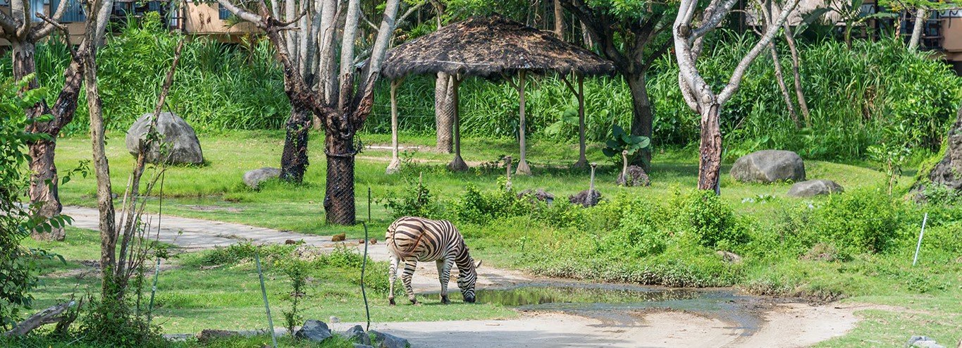 Gianyar Bali: Safari Go Fun day Tour 