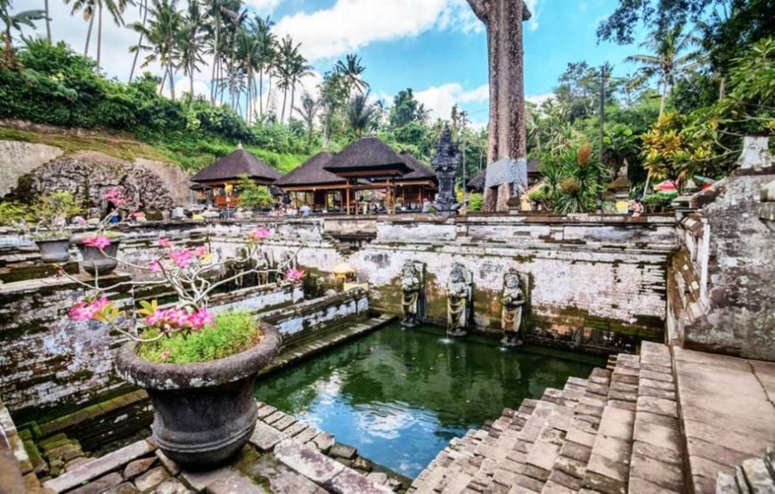 Gianyar: Glass Bridge, Butterfly Park,Visit Goa Gajah