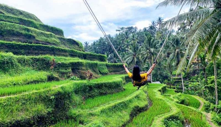 Ubud: Down to Ulu Petanu Ceking Tour