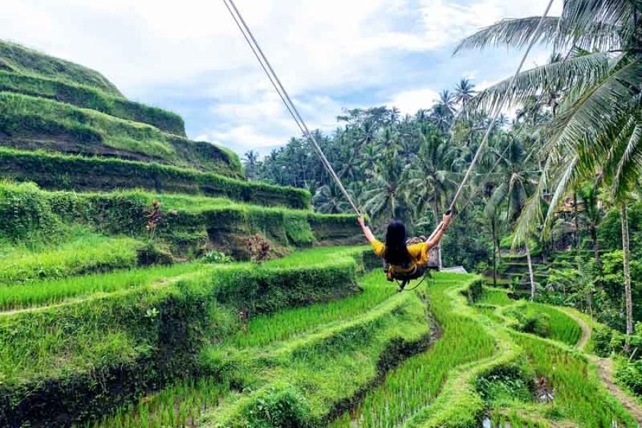 Ubud: Down to Ulu Petanu Ceking Tour