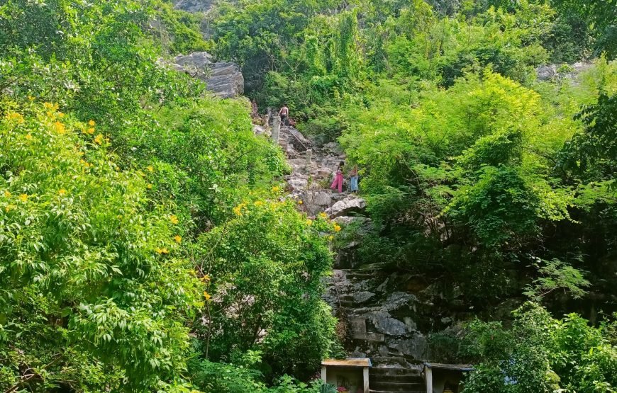 La Plantation, Enjoy Testing and Tour