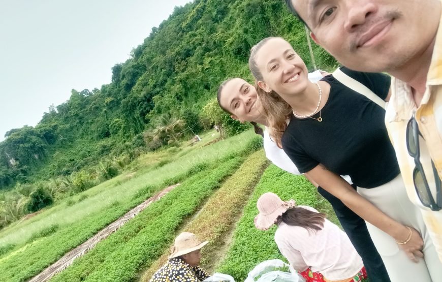 La Plantation, Enjoy Testing and Tour