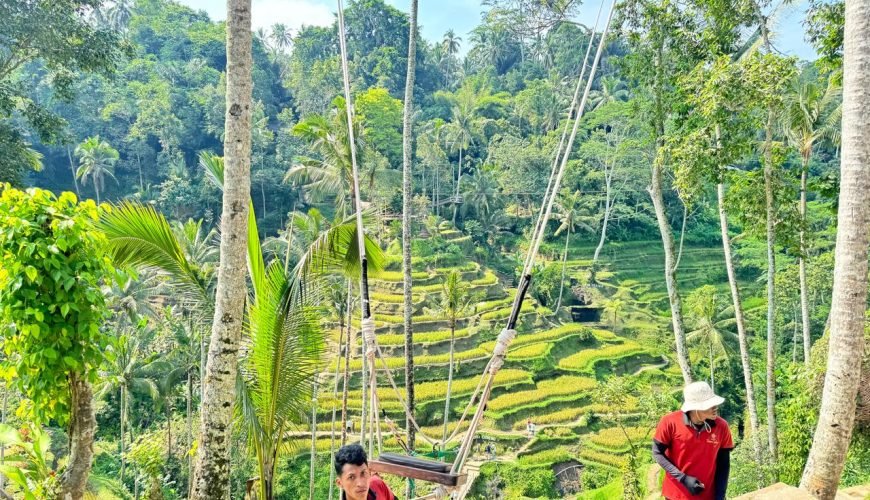 Full day Kintamani Tour