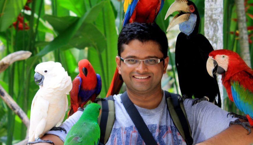 Ubud: Bird Park, Monkey Forest and Art Village Day Trip