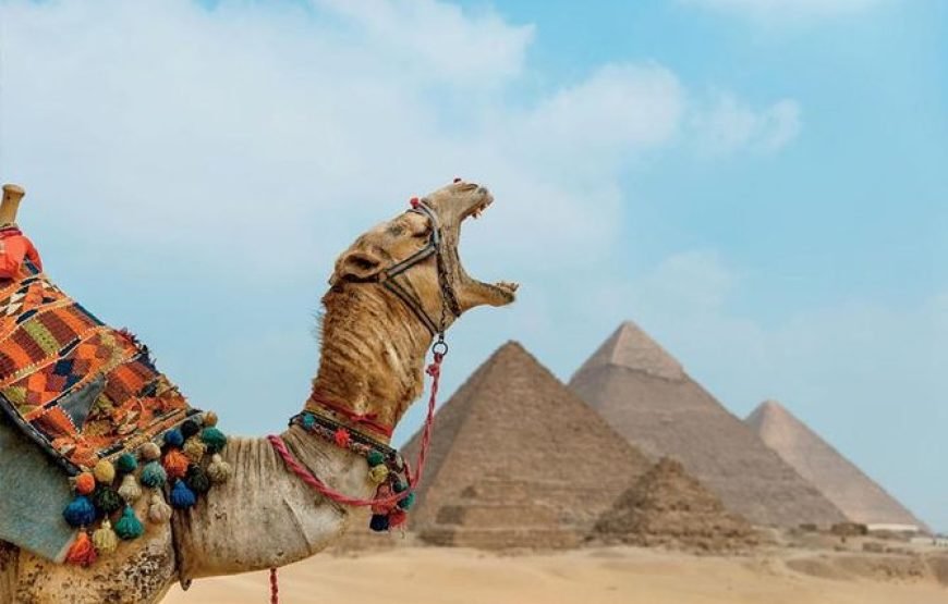 Cairo Full Day Private Pyramids Tour