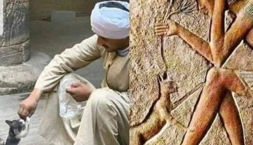 Cairo Full Day Private Pyramids Tour