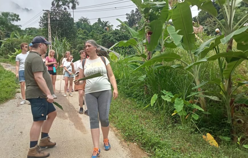 Hiking Through Hoang Su Phi’s Most Breathtaking Rice Terraces 8 Days