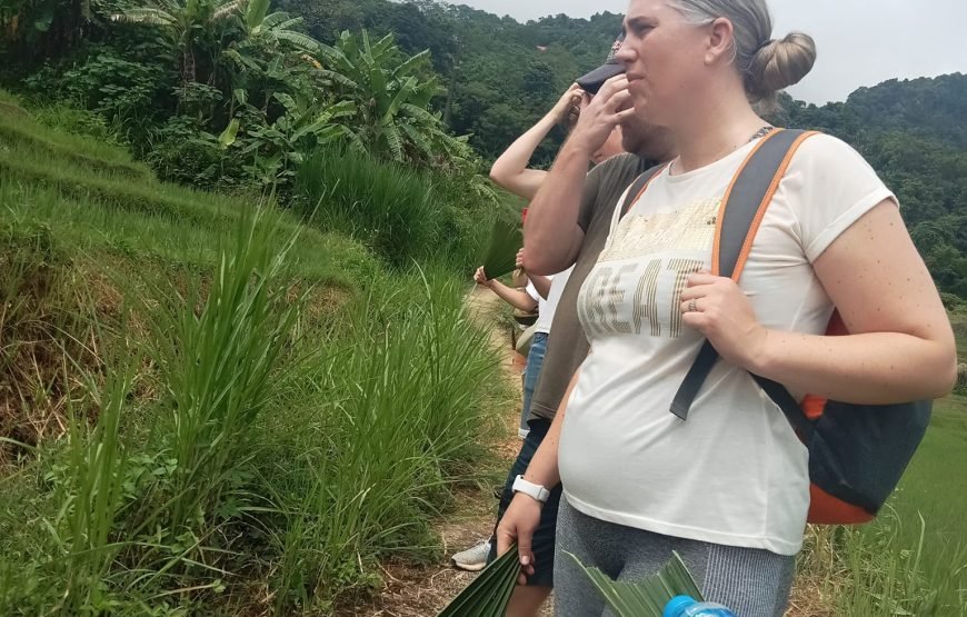 Hiking Through Hoang Su Phi’s Most Breathtaking Rice Terraces 8 Days