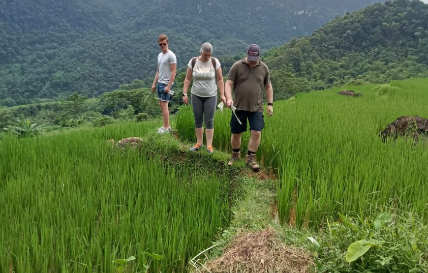 Hiking Through Hoang Su Phi’s Most Breathtaking Rice Terraces 8 Days