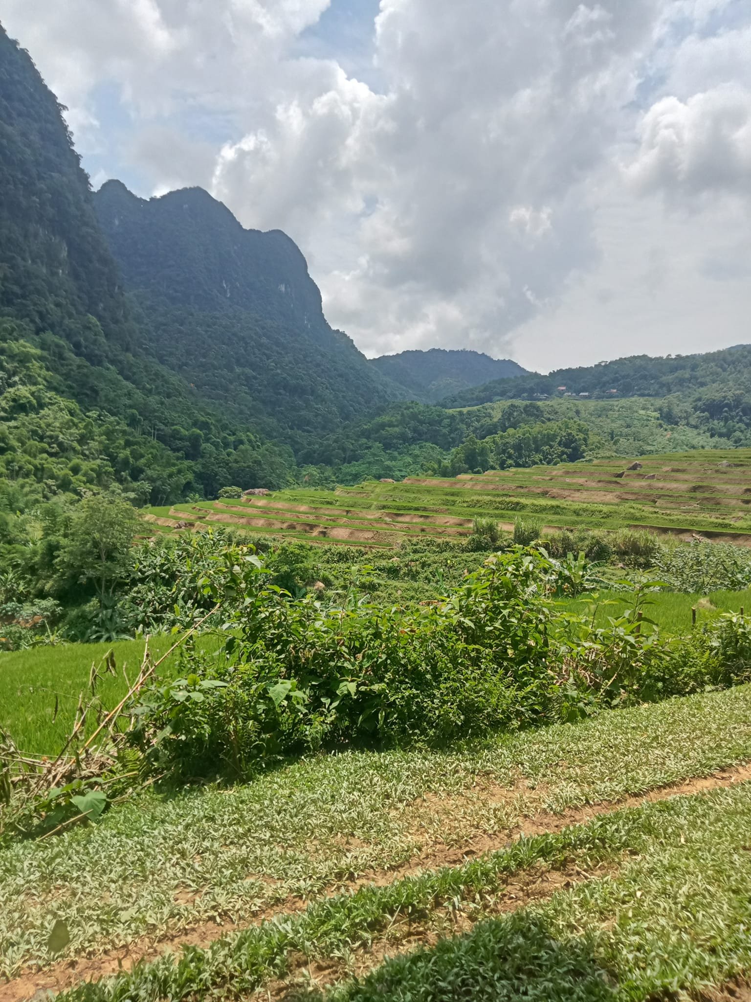 DAY 8: Che La – Xin Man market – Tan Quang/Bac Ha/ (B/L/-)