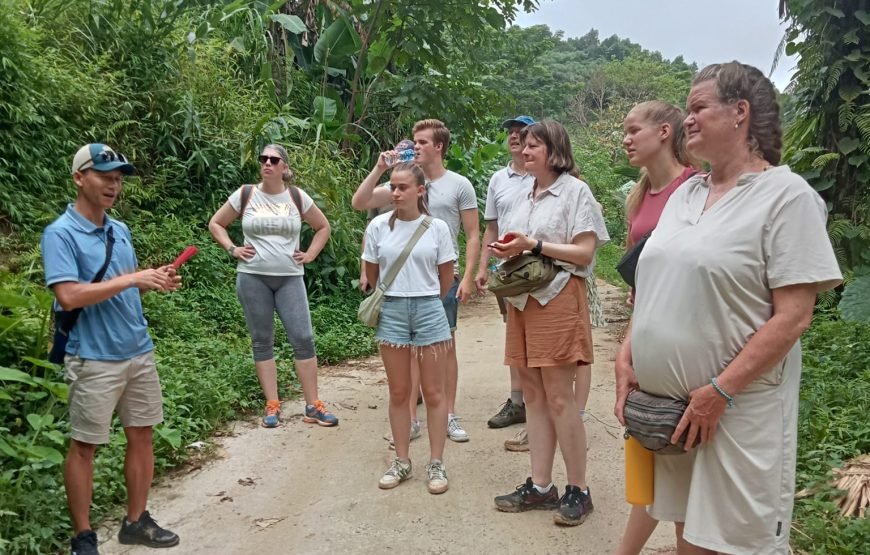 Hiking Through Hoang Su Phi’s Most Breathtaking Rice Terraces 8 Days