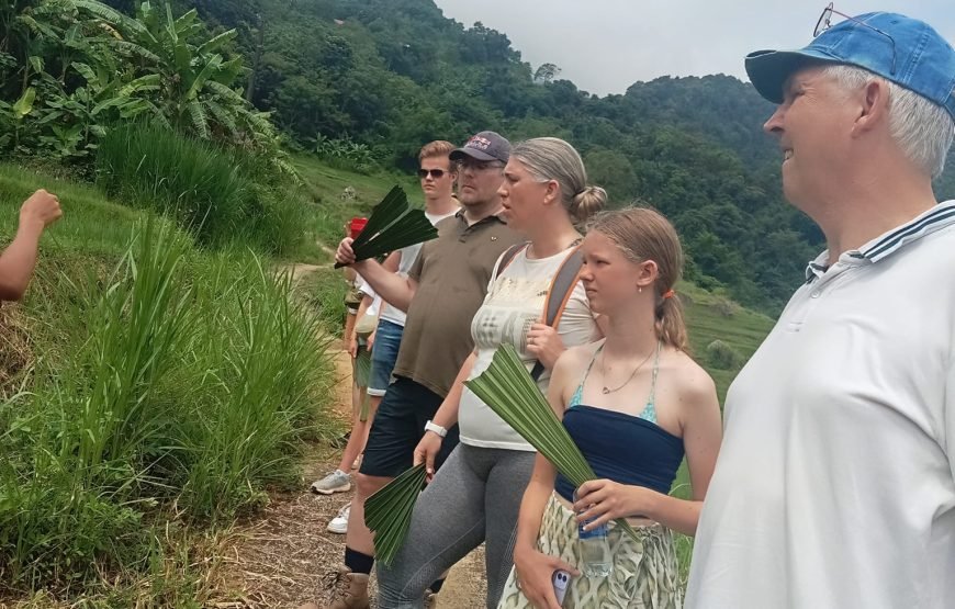 Hiking Through Hoang Su Phi’s Most Breathtaking Rice Terraces 8 Days