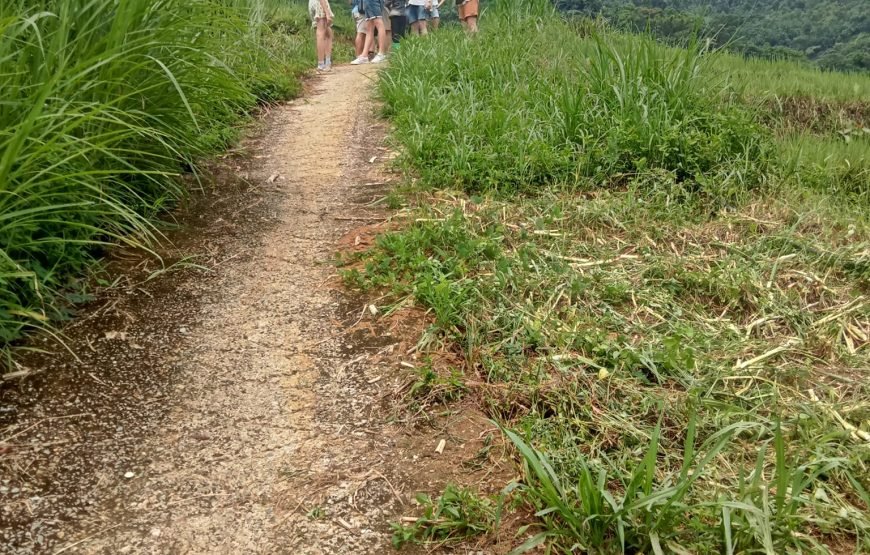 Hiking Through Hoang Su Phi’s Most Breathtaking Rice Terraces 8 Days