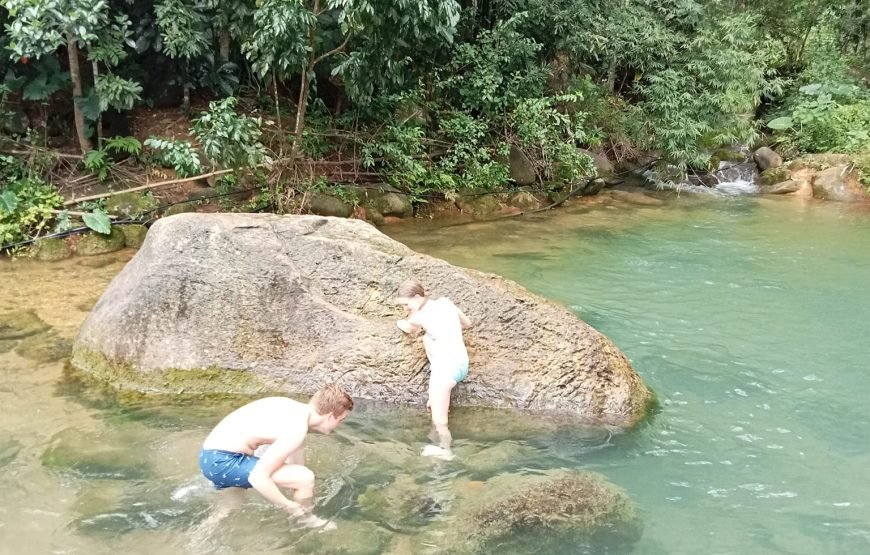 Hiking Through Hoang Su Phi’s Most Breathtaking Rice Terraces 8 Days