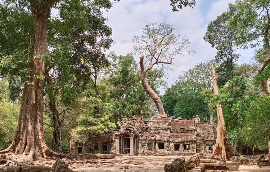 Joining Group Trip To Angkor Wat, Angkor Thom With Sunrise