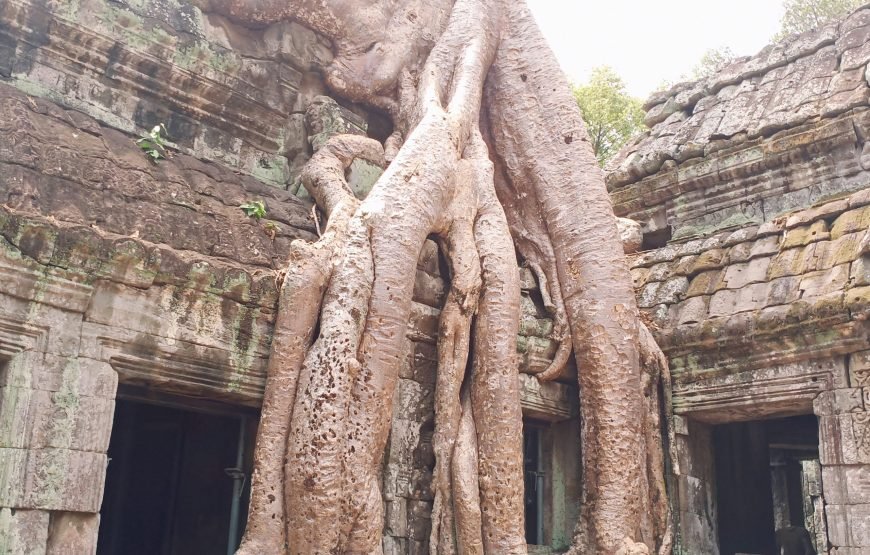 Joining Group Trip To Angkor Wat, Angkor Thom With Sunrise