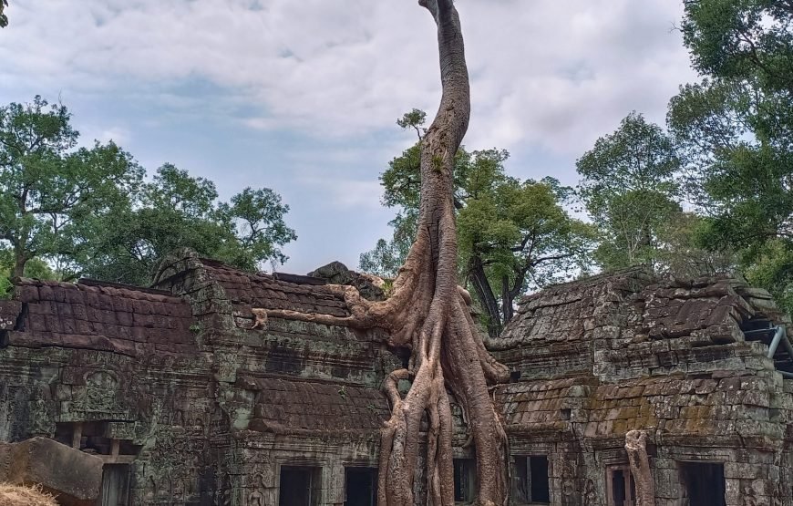 Joining Group Trip To Angkor Wat, Angkor Thom With Sunrise