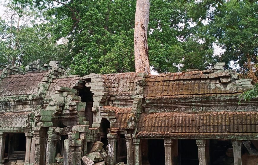 Joining Group Trip To Angkor Wat, Angkor Thom With Sunrise