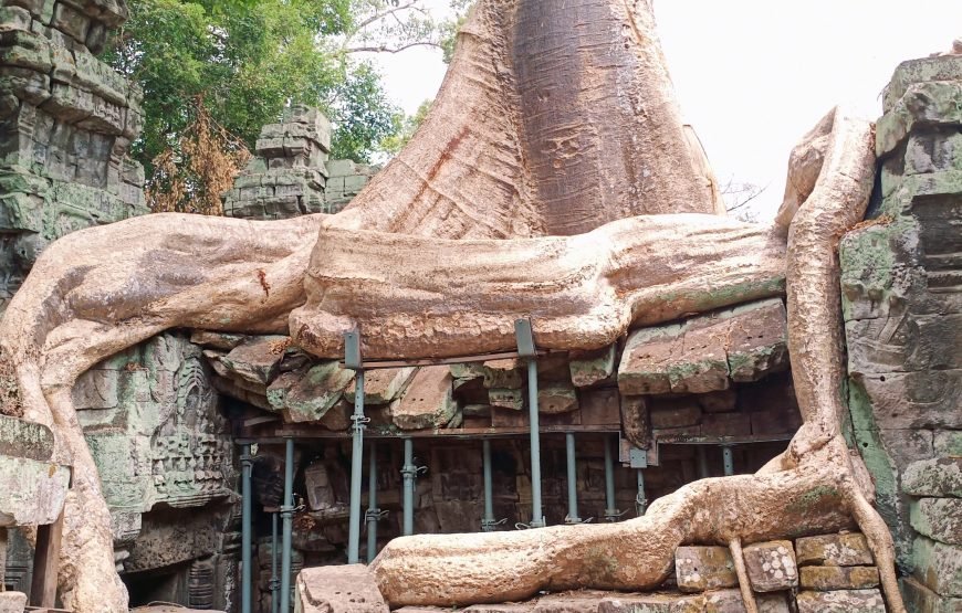 Joining Group Trip To Angkor Wat, Angkor Thom With Sunrise