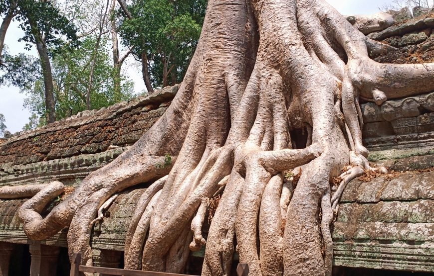 Joining Group Trip To Angkor Wat, Angkor Thom With Sunrise