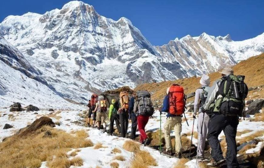 Poon Hill Ghorepani Treks