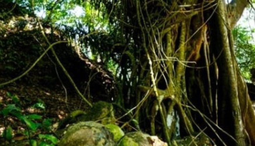 Bali: Discover The Culturally Secluded Bali Aga Villages of Trunyan