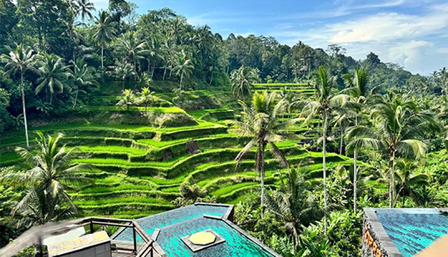Ubud and Surrounding Private Tour