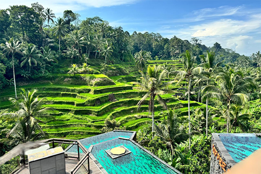 Ubud and Surrounding Private Tour