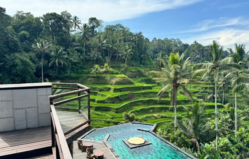 Ubud and Surrounding Private Tour