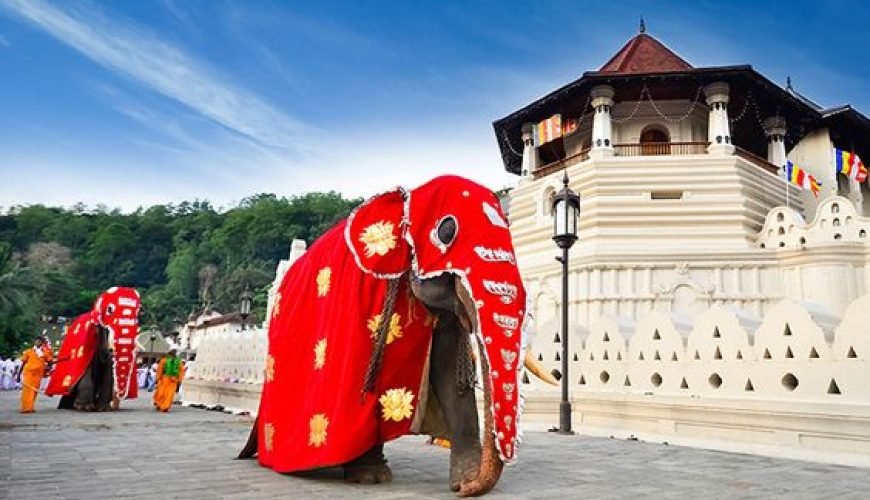 Kandy One Day Tour