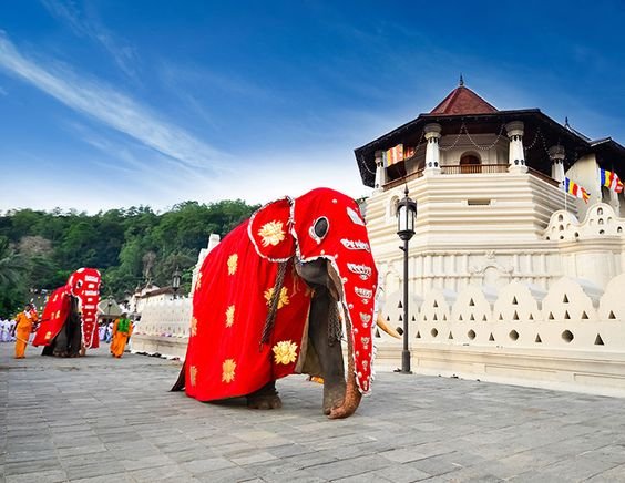 Visit Temple of Tooth Relic