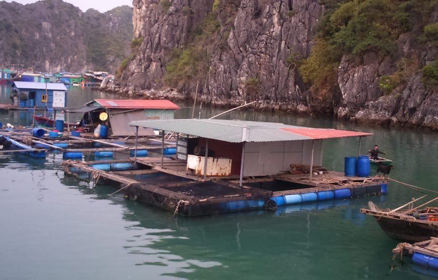 Cat Ba Island: Full-day Cruise to Lan Ha bay and Ha Long Bay