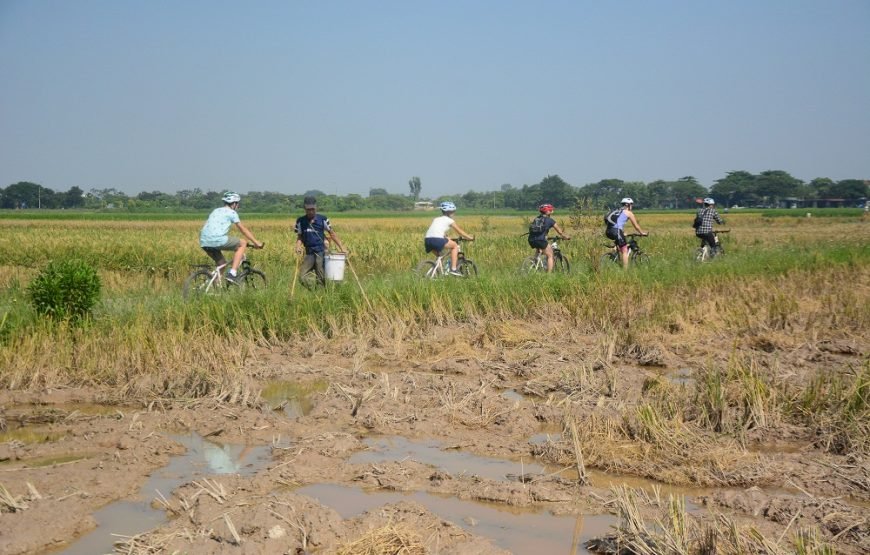 Hanoi Afternoon Bicycle Tour