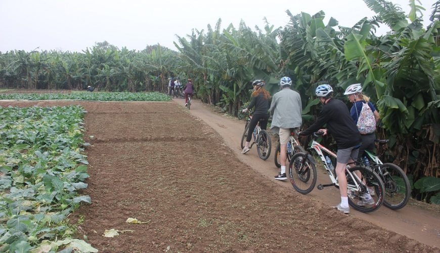 Hanoi Afternoon Bicycle Tour