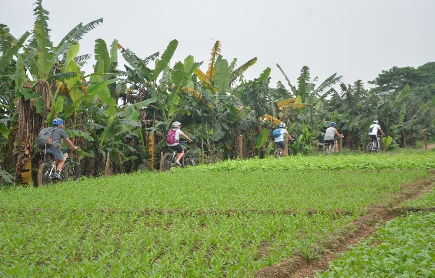 Hanoi Afternoon Bicycle Tour