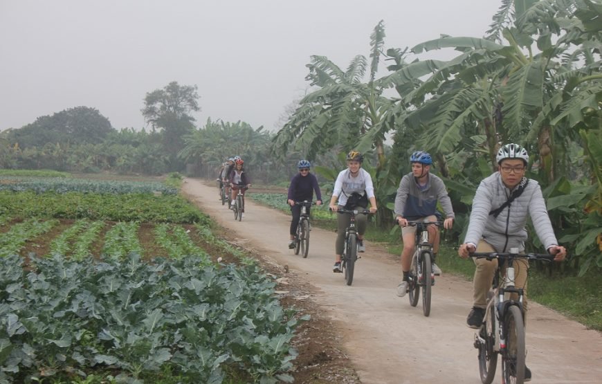 Hanoi Afternoon Bicycle Tour