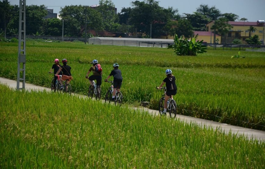 Hanoi Afternoon Bicycle Tour