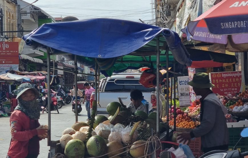 The Essence of Old Kratie