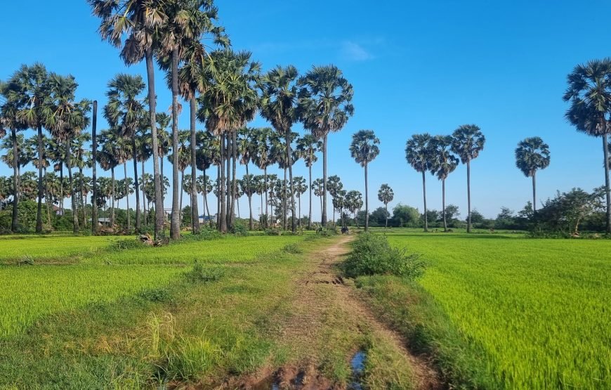 The Essence of Old Kratie