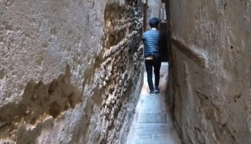 Fes Medina Walking Tour: Explore UNESCO Heritage, Tannery & Ancient Landmarks