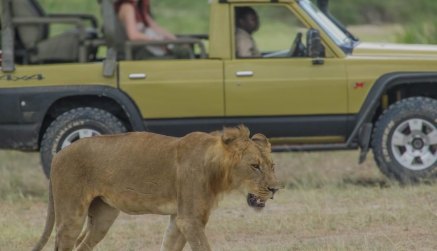 1 day – Selous Game Reserve / Nyerere National Park