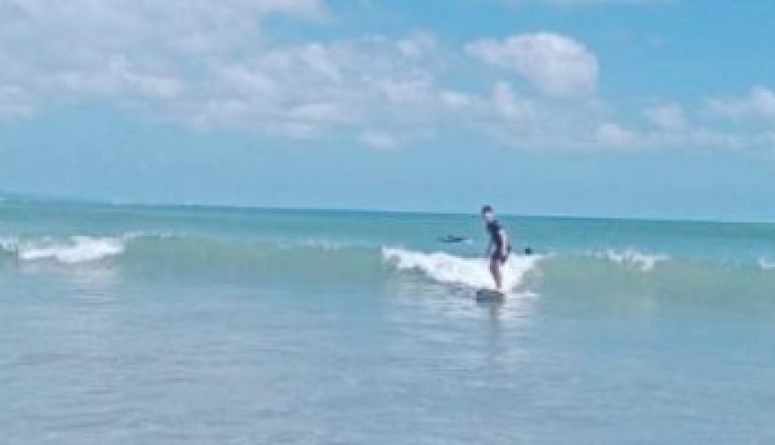 Surfing Class Intermediate