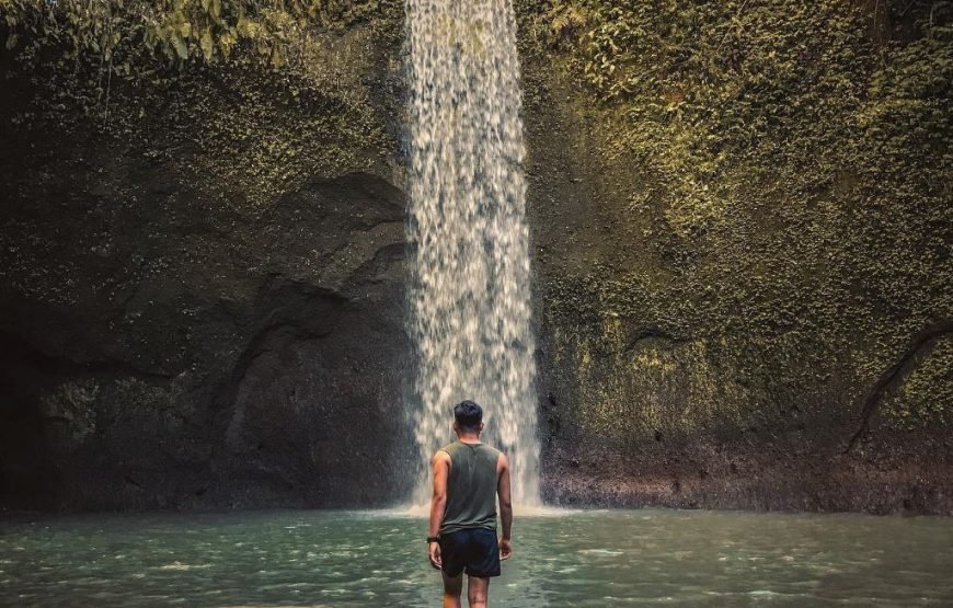 Explore Hidden Waterfalls of Paradise Island