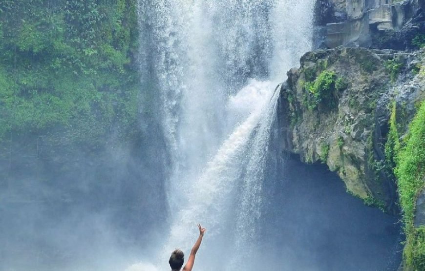 Explore Hidden Waterfalls of Paradise Island