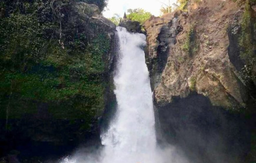 Explore Hidden Waterfalls of Paradise Island