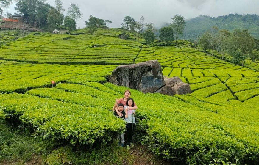 Southern Bandung Day Tours