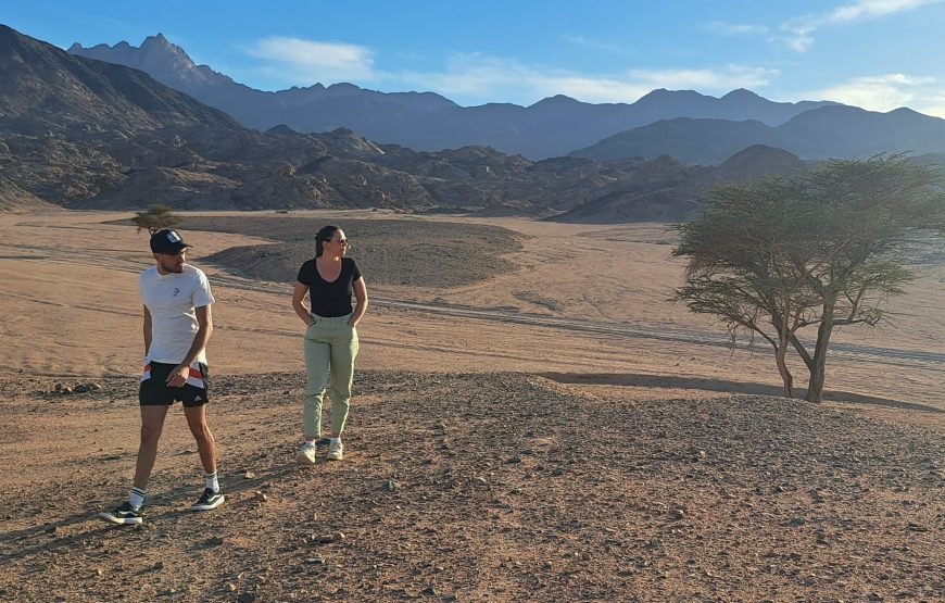 Hurghada Space Observers (Desert Stargazing)