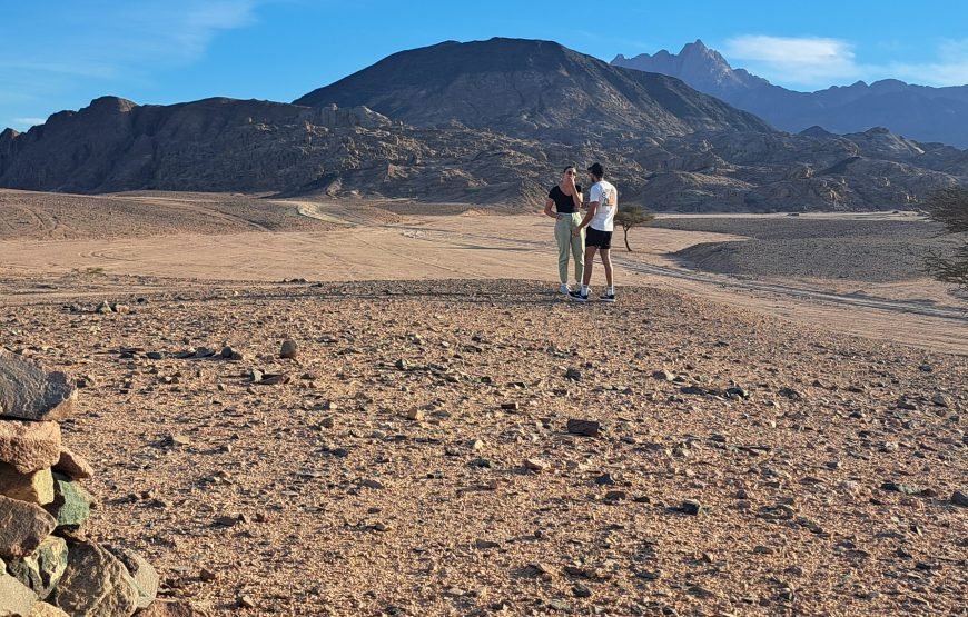 Hurghada Space Observers (Desert Stargazing)