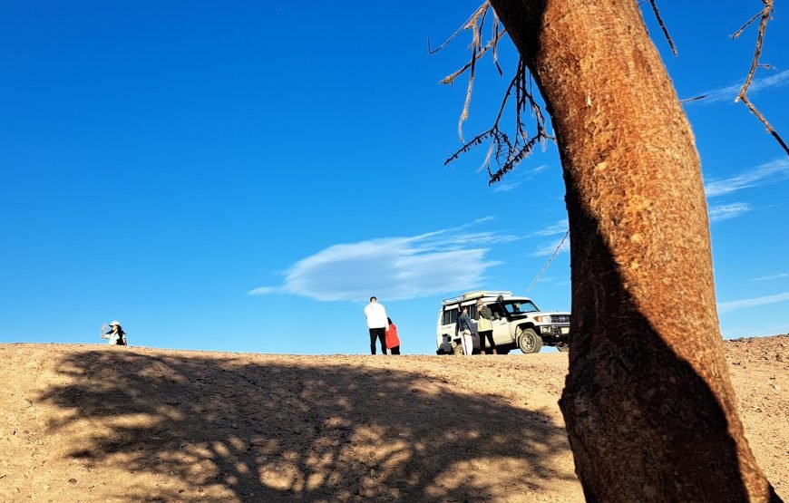 Hurghada Space Observers (Desert Stargazing)