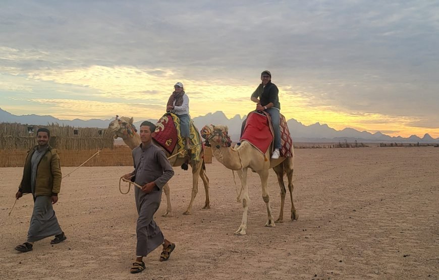 Hurghada Space Observers (Desert Stargazing)